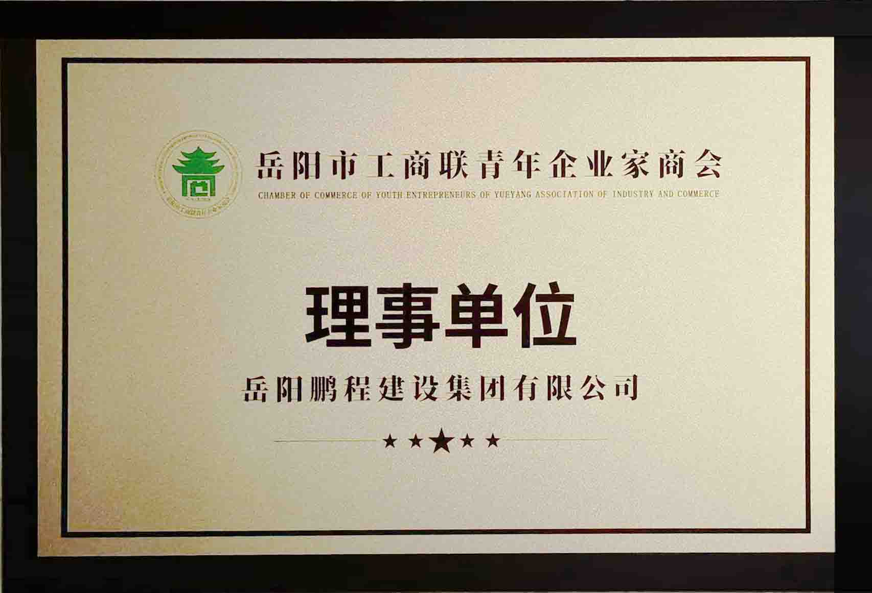 岳阳市工商联青年企业家商会（理事单位）